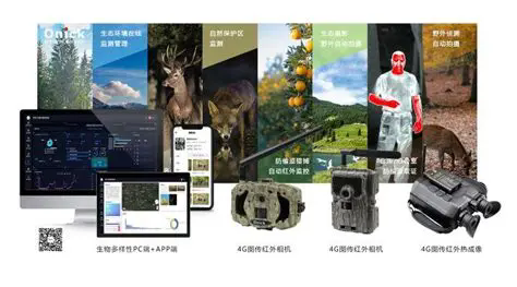 640.webp (15).png
